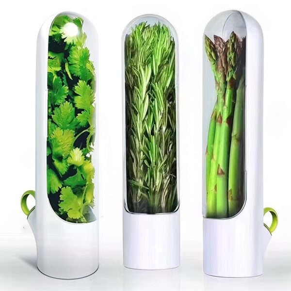 1pc Vegetable Fresh-keeping Bottle; Herbal Medicine Preservation Bottle; Herb Storage Bottle; Home Kitchen Gadgets - Image 2