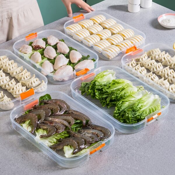 1pc Refrigerator Dumpling Storage Box; Frozen Dumplings Multi-layer; Household Large Capacity Dumpling Box Multifunctional 11.8in/8in - Image 3