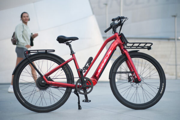 Ebike - Image 13