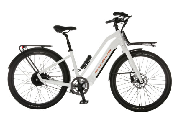 Ebike - Image 2